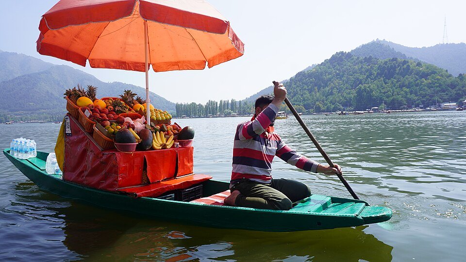Shikara ride on Dal Lake, Srinagar