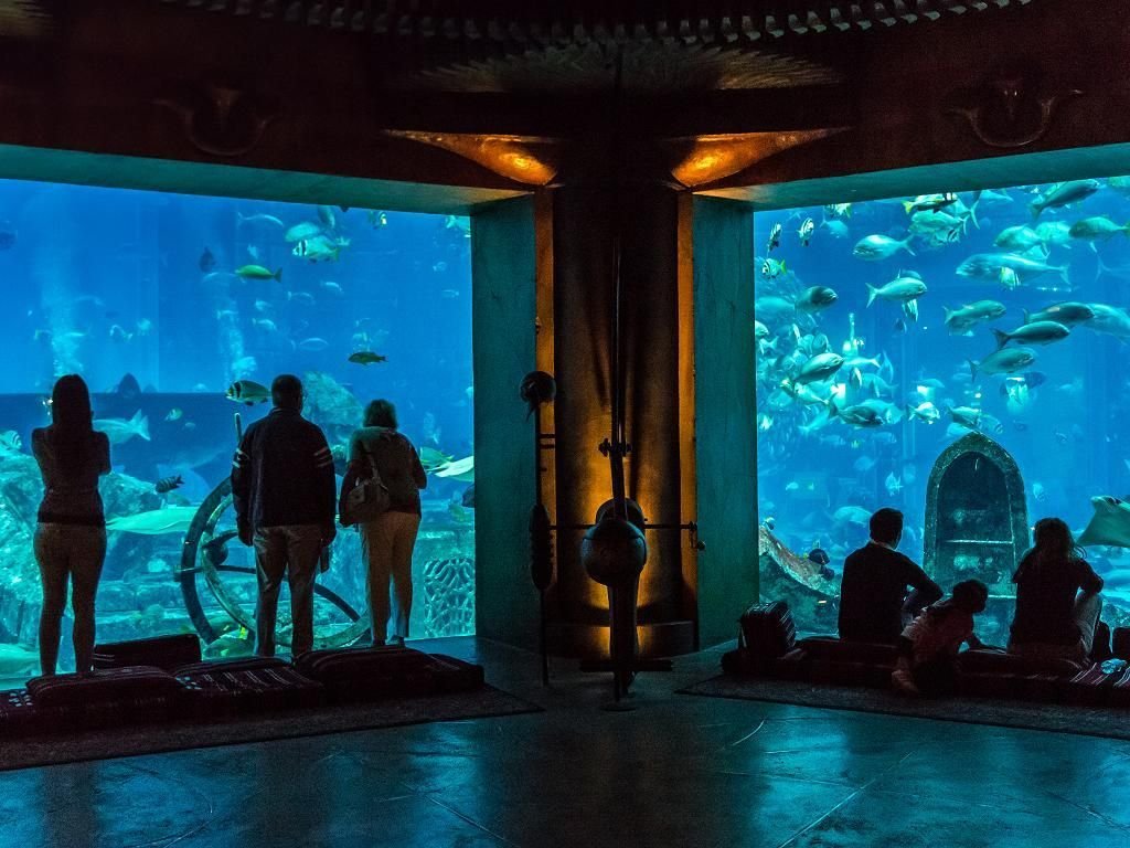 The Lost Chambers Aquarium, Atlantis The Palm