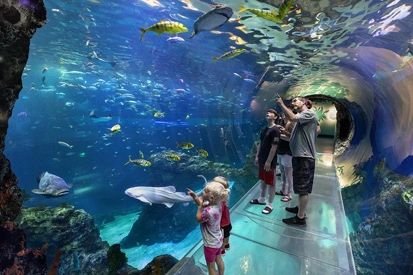 Underwater tunnel at SeaWorld Abu Dhabi