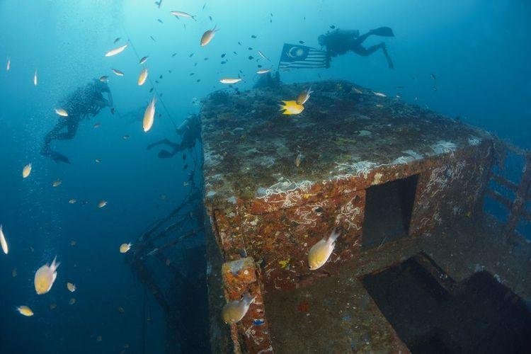 Divers above a wreck superstructure surrounded by reef fish