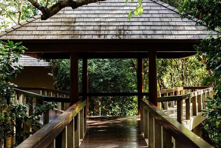 Timber walkway leading up through the trees to a Treetop Casita pavilion