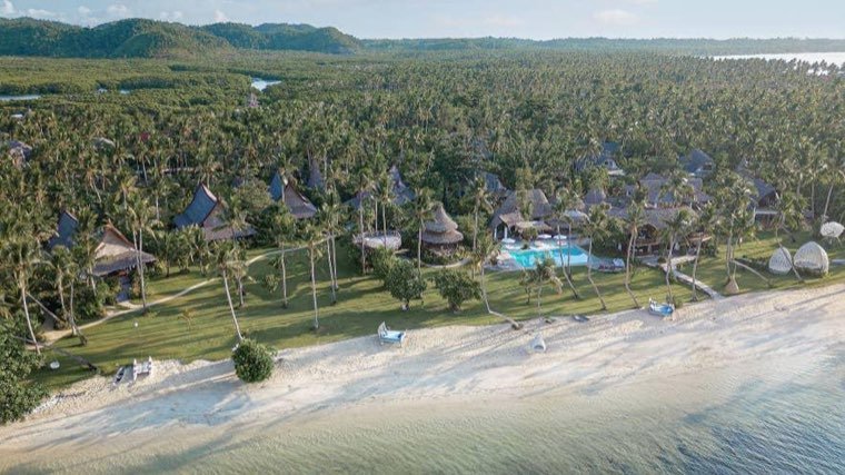 Aerial view of thatched resort villas set among palms along the Siargao shoreline