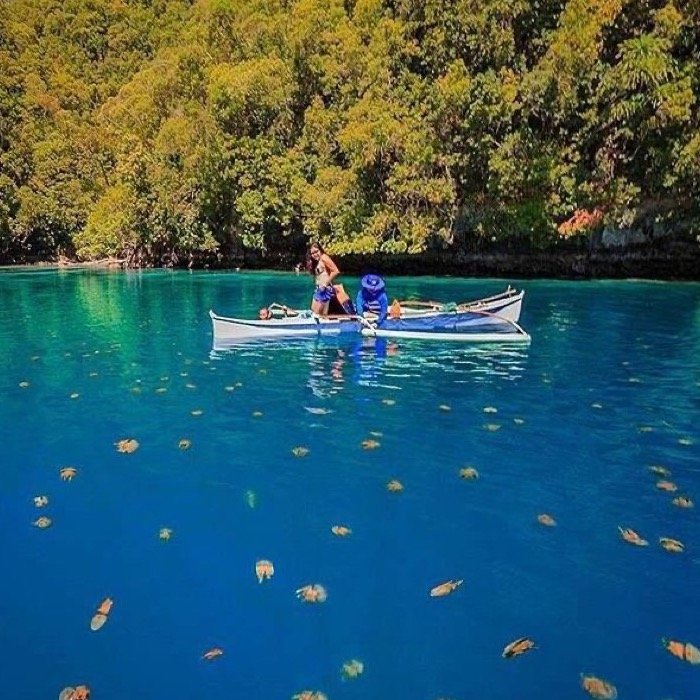 Visitors in a small boat above golden jellyfish in a sheltered lagoon