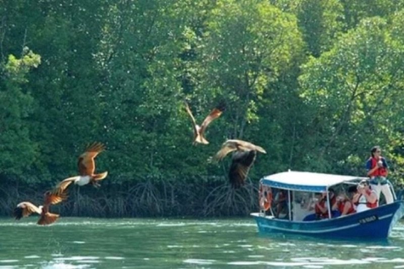 Island hopping & eagle feeding