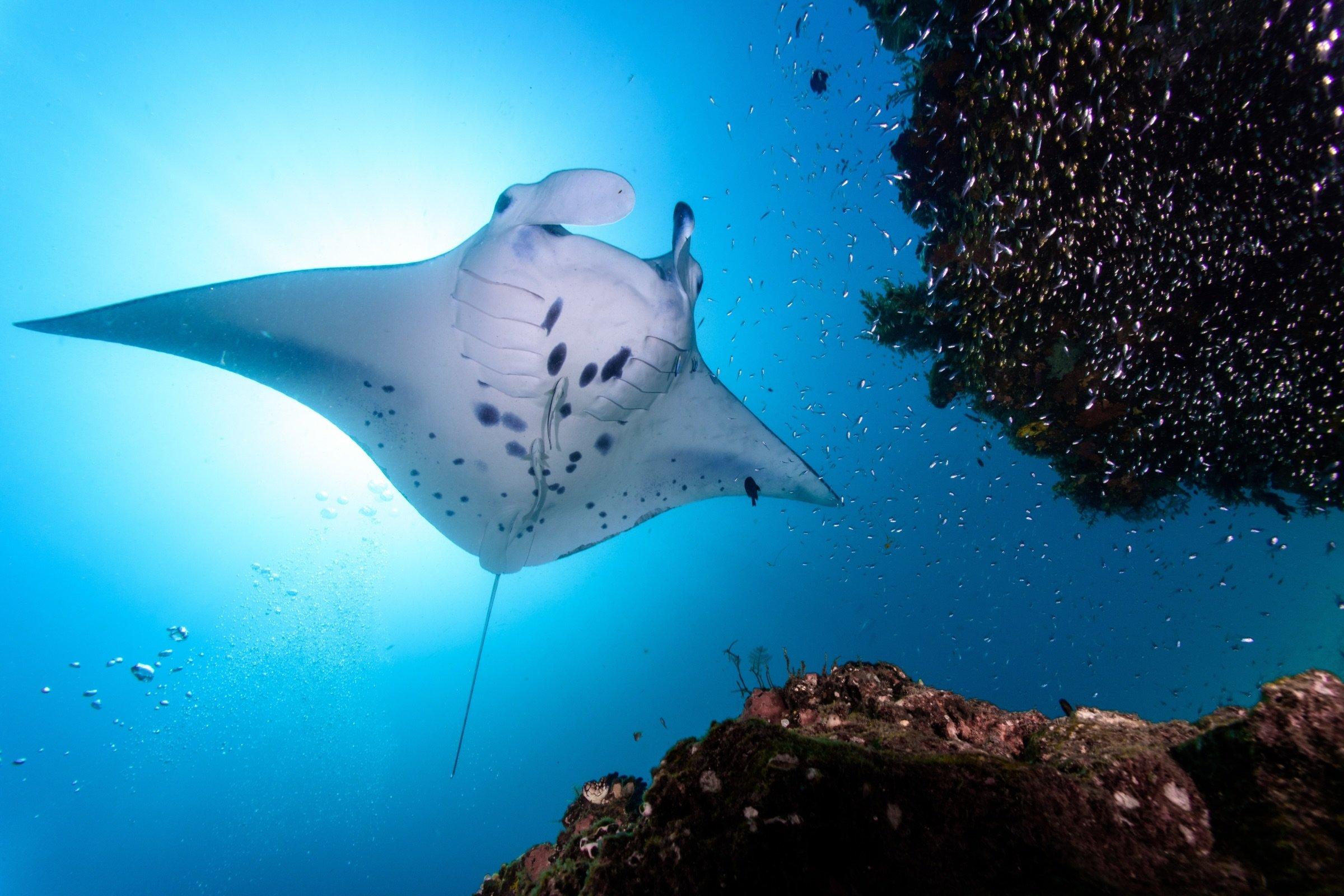 Vakkaru Maldives