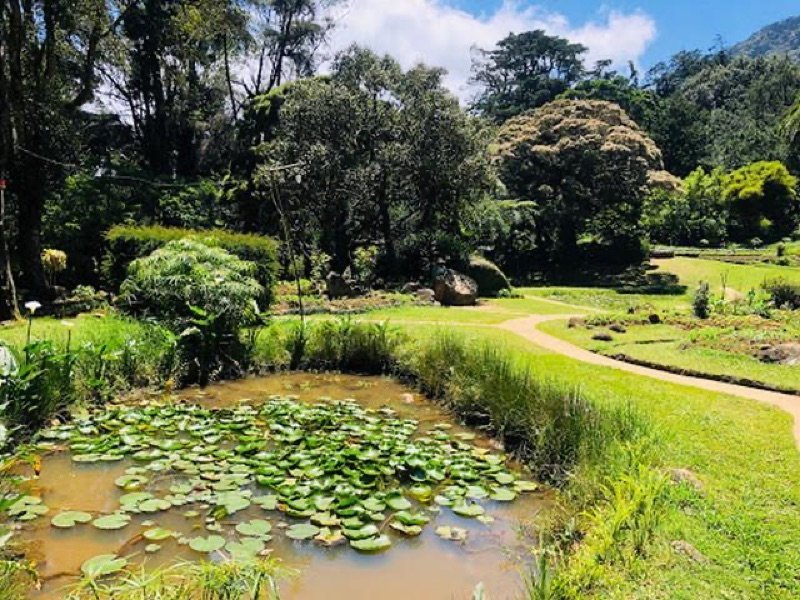 Hakgala Botanical Garden