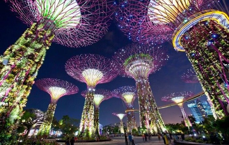 Garden Rhapsody light show