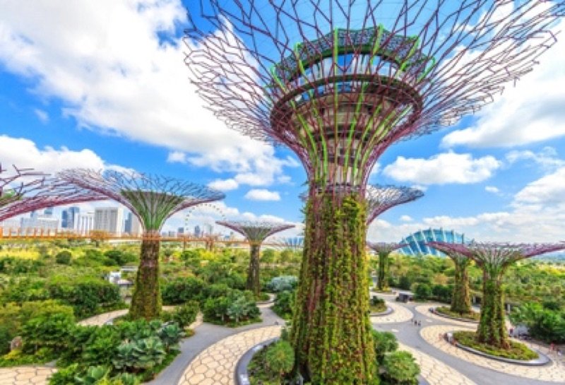 Supertree Grove