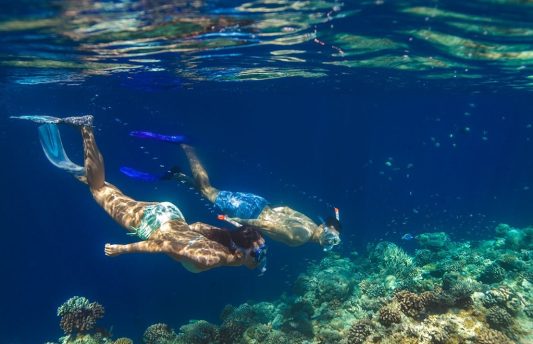 Exploring vibrant coral reefs and tropical marine life in the crystal-clear Indian Ocean at Angsana Velavaru Maldives